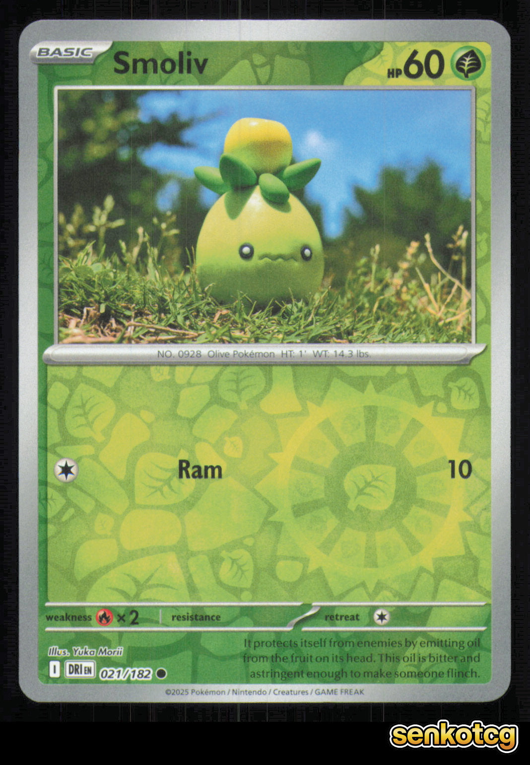 🎴 Smoliv 021/182 Reverse Holo Destined Rivals NM 🎨 Morii