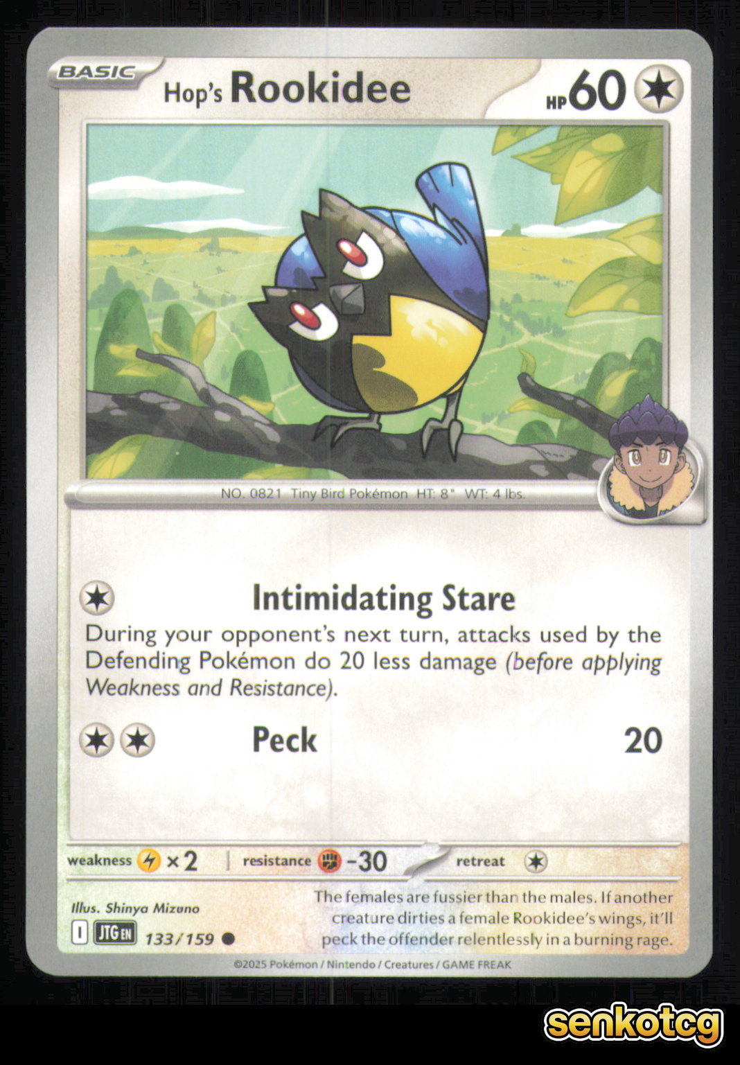 🎴 Hop's Rookidee 133/159 Journey Together NM 🎨 Mizuno