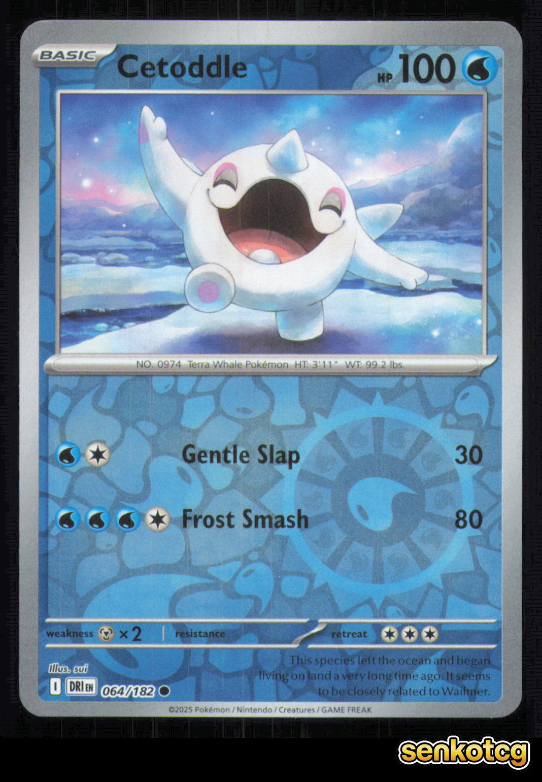 🎴 Cetoddle 064/182 Reverse Holo Destined Rivals NM 🎨 sui