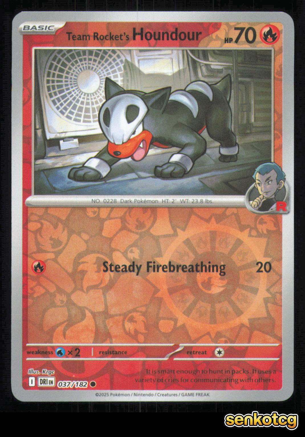 🎴 Team Rocket's Houndour 037/182 Reverse Holo Destined Rivals NM 🎨 Krgc